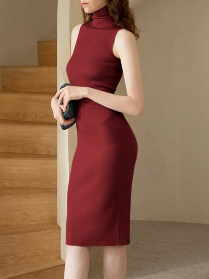 Chic Cozy Turtleneck Dress