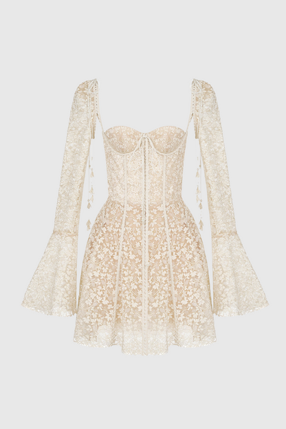 Curve-Enhancing Lace Mini Dress